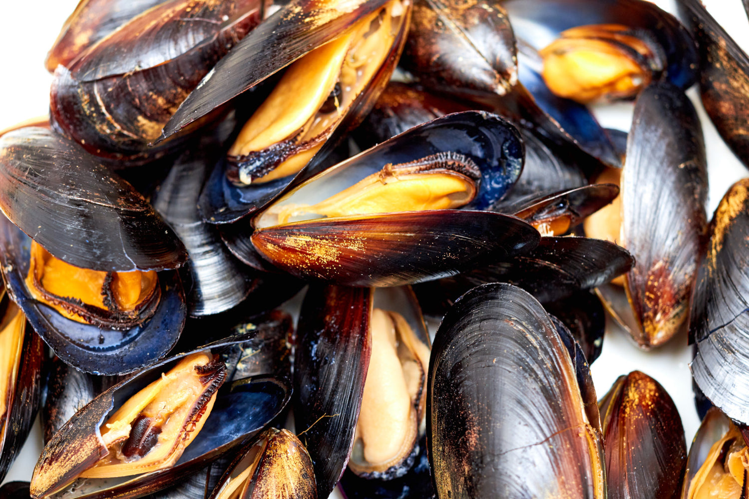 Moules à la plancha