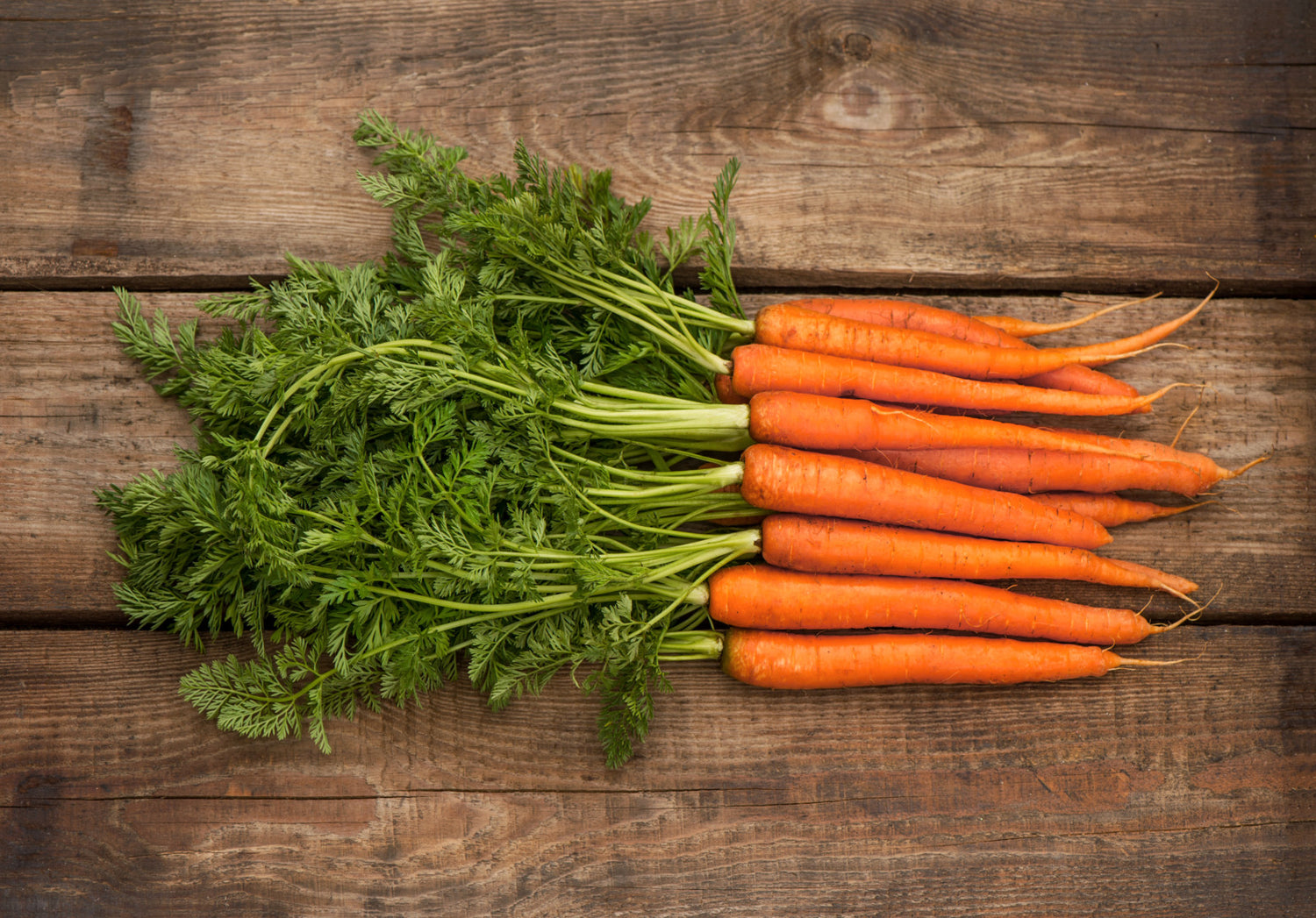Frites de carottes en botte